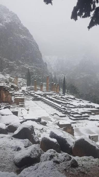 'Ηδιστον,Delphi Apartment Luaran gambar
